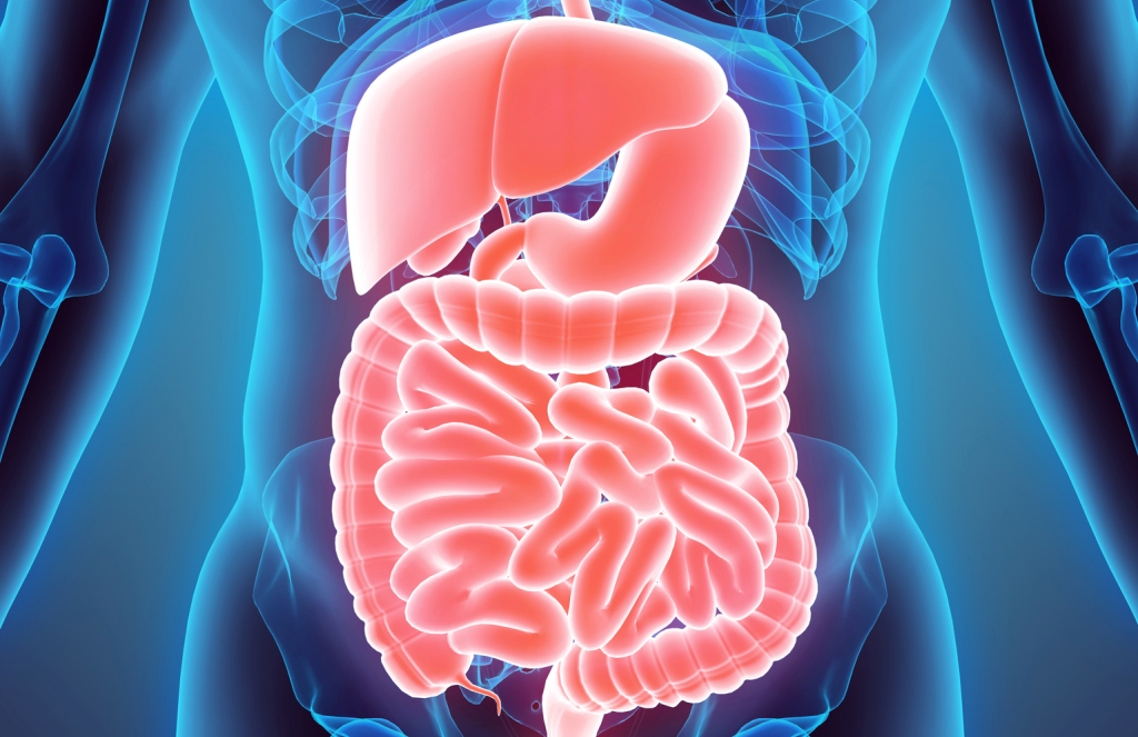 खाएको कुरा नपचेर हैरान हुनुहुन्छ ? यसो गर्नुहोस् !