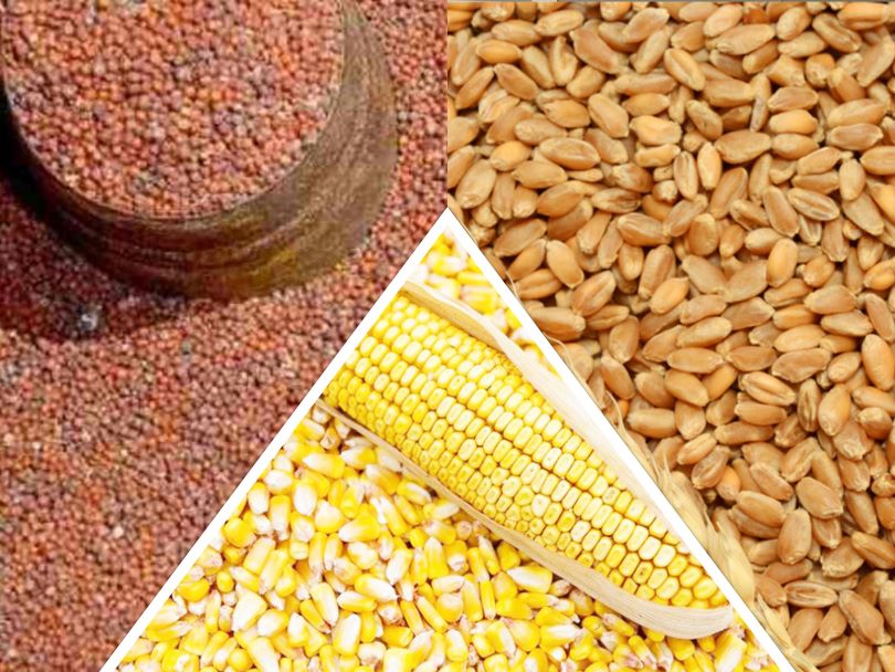 भारतबाट तीन करोड ९८ लाखको कोदो आयात, खाद्यान्न खरिदमा ७४अर्ब बाहिरियो