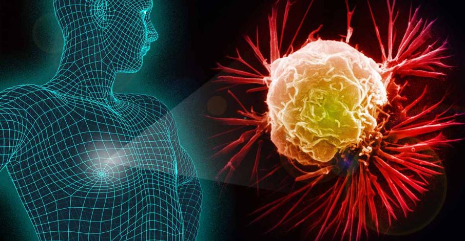 महिलाभन्दा पुरुषमा क्यान्सरको जोखिम किन बढी हुन्छ?