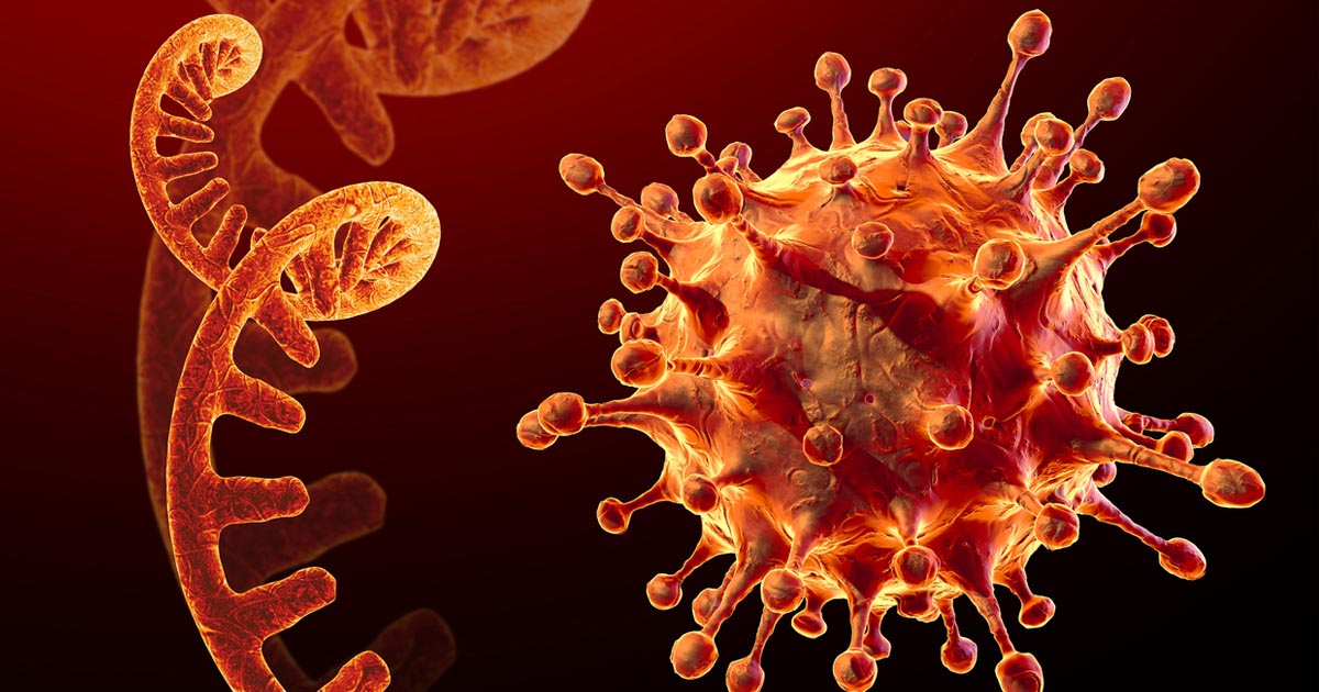 थप ७६ जनामा कोरोना संक्रमण पुष्टि