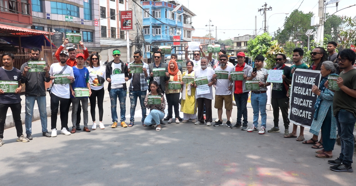देशले गाँजालाई चिन्न नसकेको भन्दै आत्मनिर्भर नेपालले थाल्यो विशेष अभियान