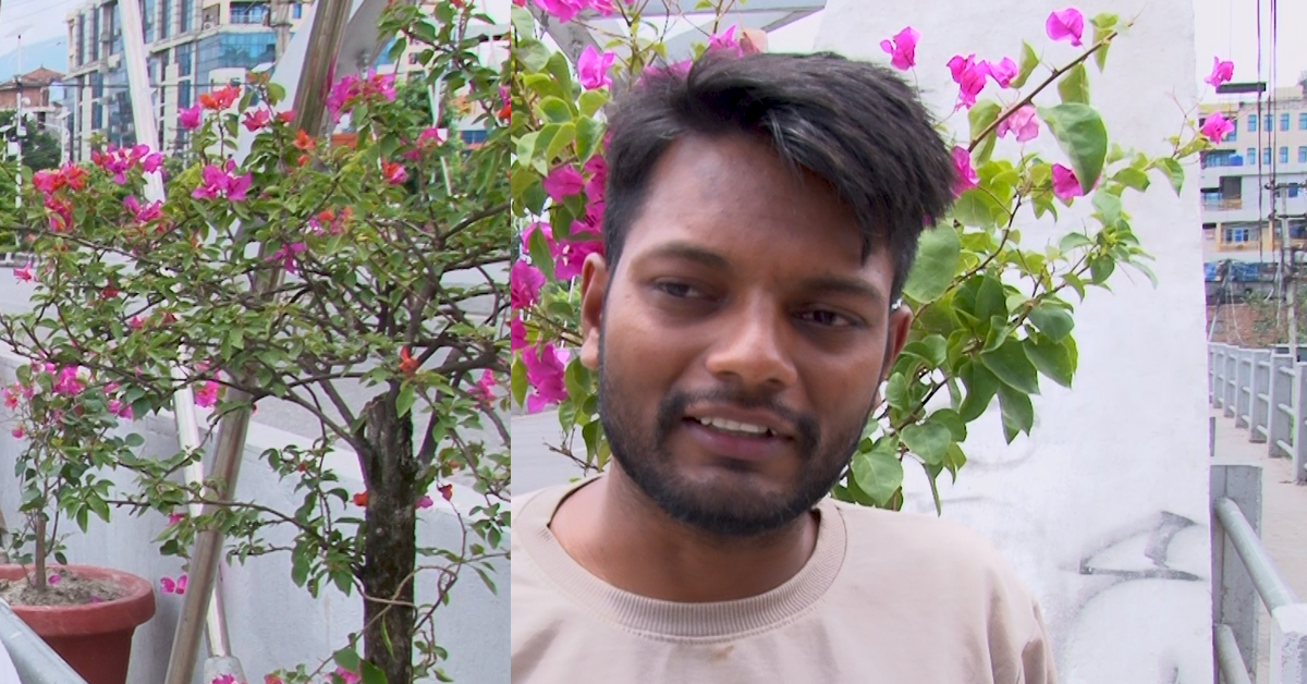 हराएको सौन्द्धर्यमा लाली थप्दै काठमाडौं,कंक्रिटको जंगल फूलबारीको शहर बन्दै