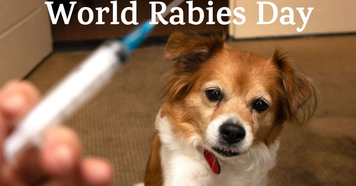 आज विश्व रेबिजविरुद्धको दिवस : नेपालको सन्दर्भमा रेबिज चुनौतीको विषय बन्दै