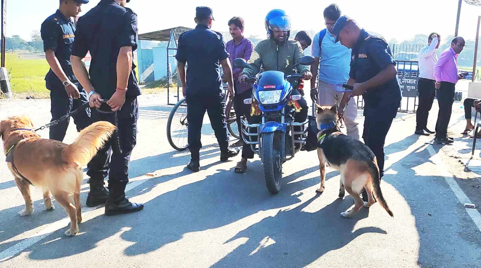 सीमा नाकामा तालिमप्राप्त कुकुर प्रयोग गरी निगरानी