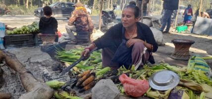 राजमार्ग छेउमा मकै पोलेरै जिविका 