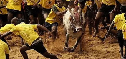 भारतको तमिलनाडुमा साँढे जुधाईको क्रममा सात जनाको मृत्यु, ४०० घाइते