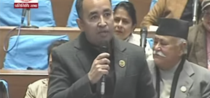 सरकारले संसदमा दुई तिहाइको धाक देखायो : पराजुली