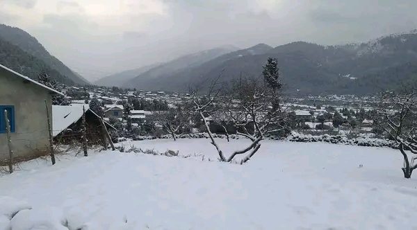 भारी हिमपातले मध्यपहाडी लोकमार्ग अवरुद्ध