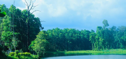 पर्यटकको रोजाइमा वेतना सिमसार