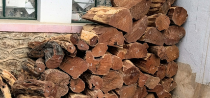 वन कार्यालयद्वारा काठ बरामद