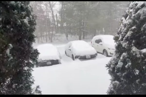 अमेरिकामा भीषण आँधी : कम्तीमा ३० जनाको मृत्यु अमेरिकामा भीषण आँधी : कम्तीमा ३० जनाको मृत्यु