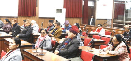 अन्तरिम सरकारका मन्त्री चुनावी मैदानमा उत्रिएका भन्दै सांसदद्वारा आलोचना