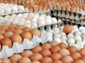 अण्डाको मूल्यमा भारी गिरावट