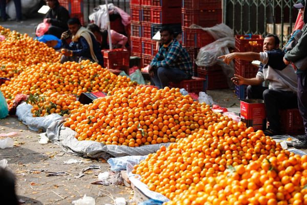 सुन्तला बेचेर तनहुँका कृषकले भित्र्याए करोडौँ