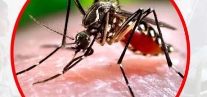 सुदूरपश्चिममा डेङ्गुबाट तीन वर्षमा सात हजारभन्दा बढी प्रभावित