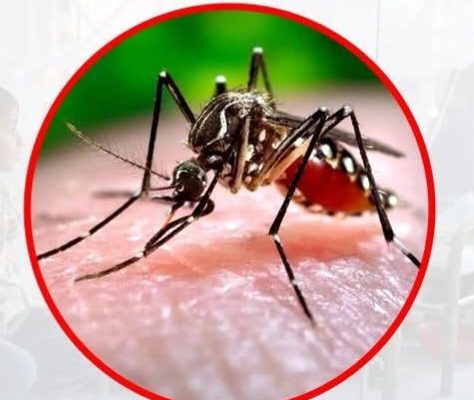 सुदूरपश्चिममा डेङ्गुबाट तीन वर्षमा सात हजारभन्दा बढी प्रभावित