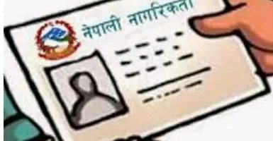 पर्सामा एक महिनामा आमाको नामबाट ३३ नागरिकता जारी