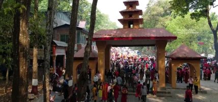 हराए मौलिक भाका, फेरियो चैतेदसैँ