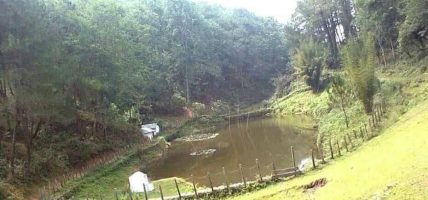 वन डढेलो र सुक्खापन रोकथामका लागि वनमा पोखरी