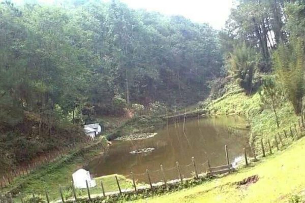 वन डढेलो र सुक्खापन रोकथामका लागि वनमा पोखरी