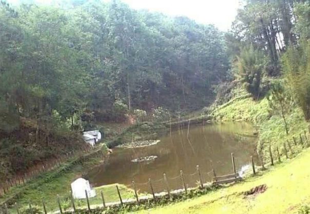वन डढेलो र सुक्खापन रोकथामका लागि वनमा पोखरी