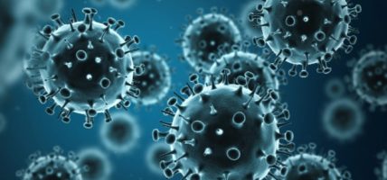 बैतडीको महरागाउँमा ‘इन्फ्लुएञ्जा बी’को सङ्क्रमण