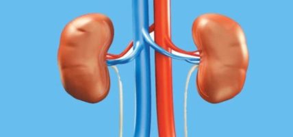 मिर्गाैला बचाउन बुटवलमा सचेतनामूलक साइकल -याली