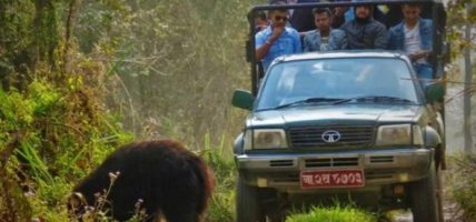 बरण्डाभार जङ्गल क्षेत्रमा हाइकिङ र सन्ध्याकालीन सफारीको तयारी