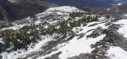 हिमपातले किसानलाई राहत