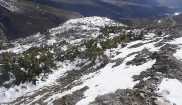 हिमपातले किसानलाई राहत