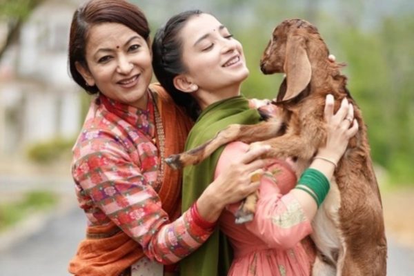 चलचित्रका लागि सुखद रह्यो ‘२०८२ चलचित्रका लागि सुखद रह्यो ‘२०८२