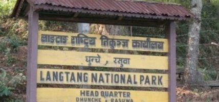 लाङ्टाङ राष्ट्रिय निकुञ्जमा पर्यटक आगमन सङै राजस्व दुवै घट्यो