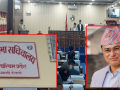 ११ महिनादेखि अमेरिका रहेका सांसद देउवा, लगातार २७ बैठकमा अनुपस्थित